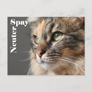Postal Spay/Neuter