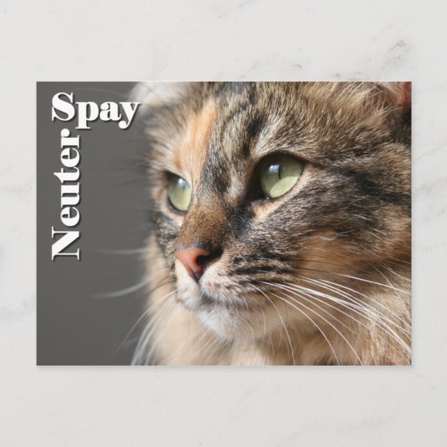 Postal Spay/Neuter (Anverso)