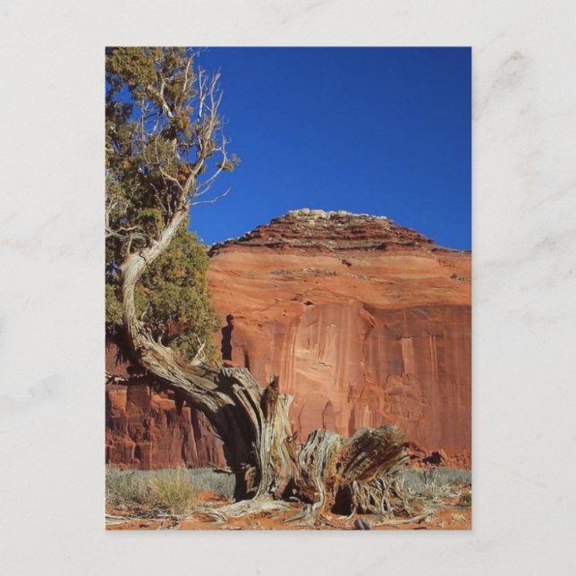 Postal Spearhead Mesa En El Valle Del Monumento (Anverso)