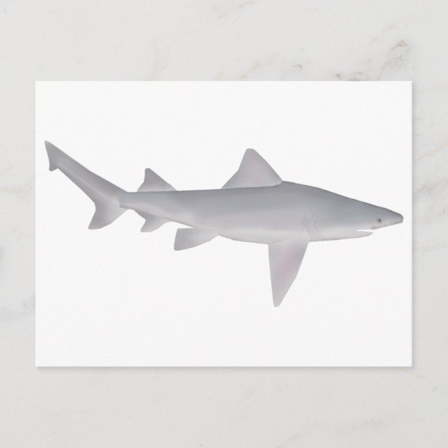 Postal Speartooth Shark (Anverso)