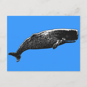 Postal Sperm Whale
