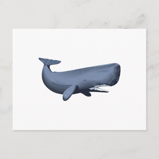 POSTAL SPERM WHALE (Anverso)