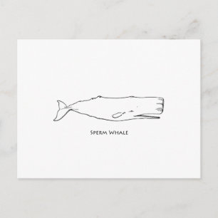 Postal Sperm Whale (arte de la línea)