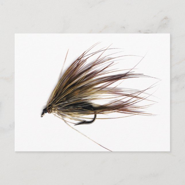 Postal Spey Fly (Anverso)