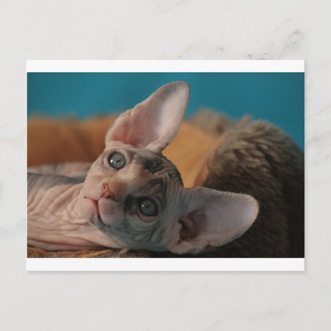 Postal Sphynx (Anverso)