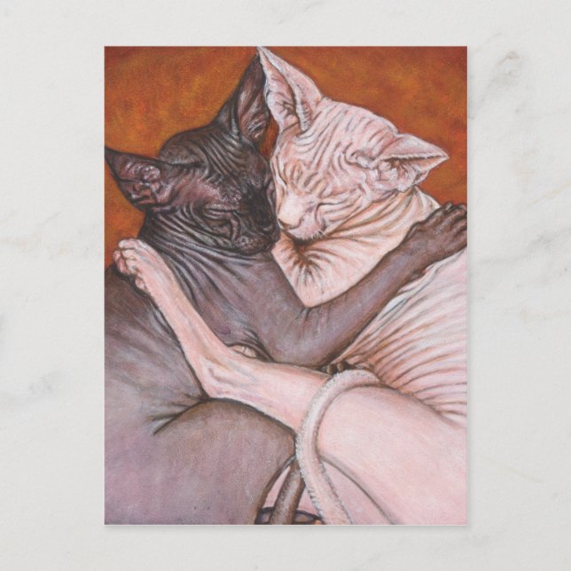 Postal Sphynx Sphinx Cat Cats Nap Time (Anverso)