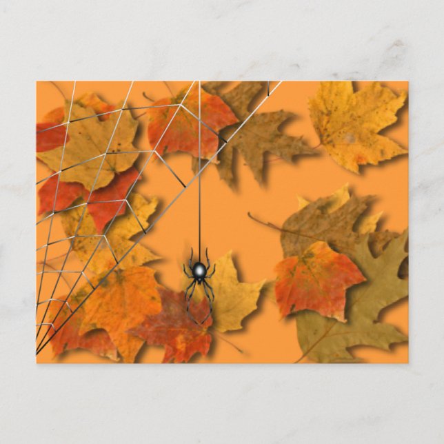 Postal Spider (Anverso)