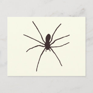 Postal Spider