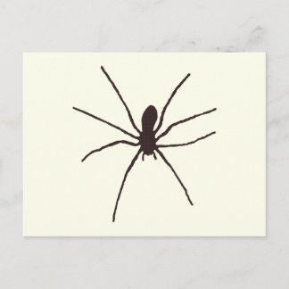 Postal Spider