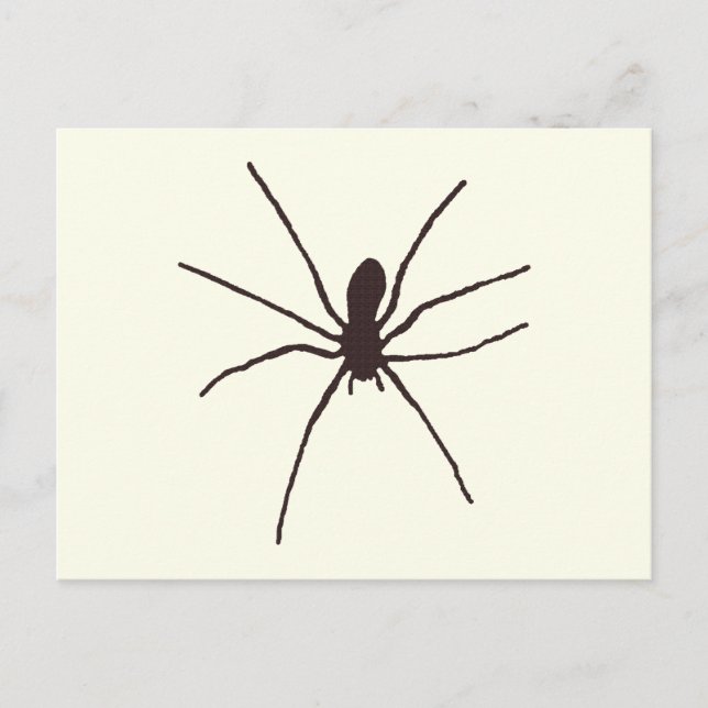 Postal Spider (Anverso)