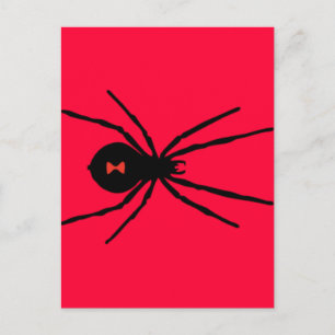 Postal Spider de viuda negra