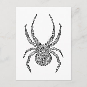 Postal Spider Doodle