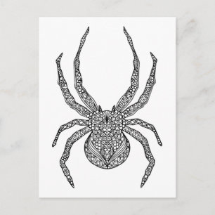 Postal Spider Doodle