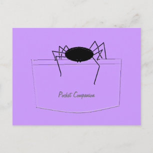 Postal Spider in Pocket