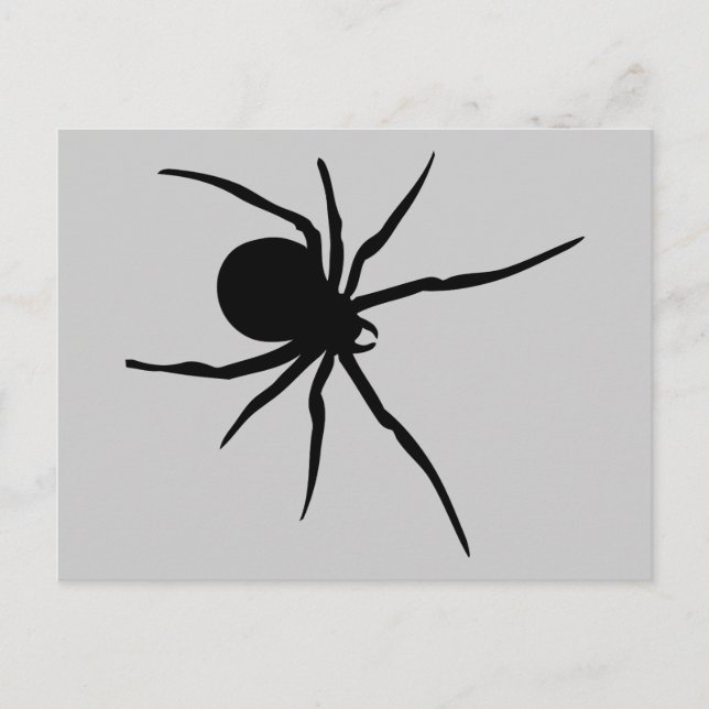 Postal Spider Insects Spiders Arachnida Black Art Animal (Anverso)