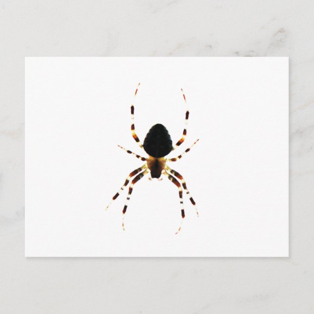 Postal Spider pcna (Anverso)