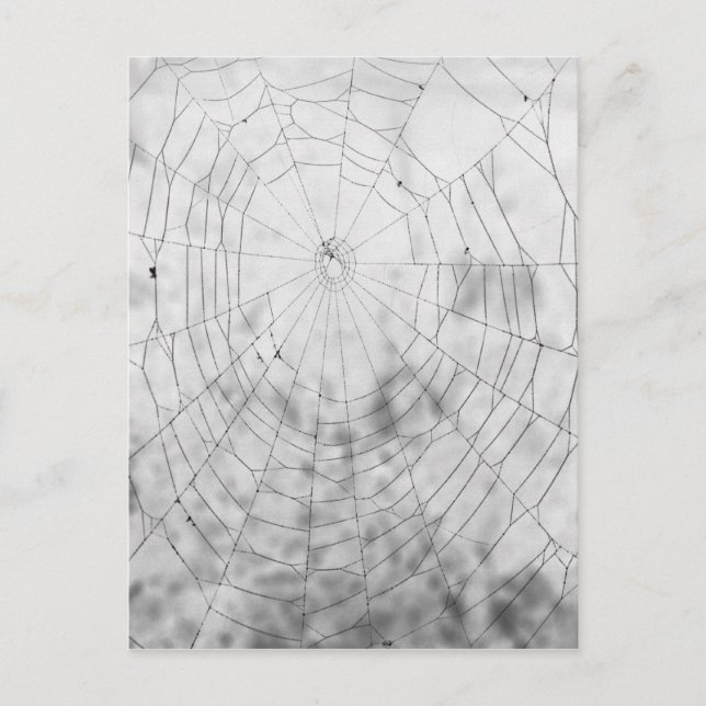Postal Spider web (Anverso)