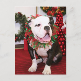 Postal Spike - Bulldog inglés - Kahley