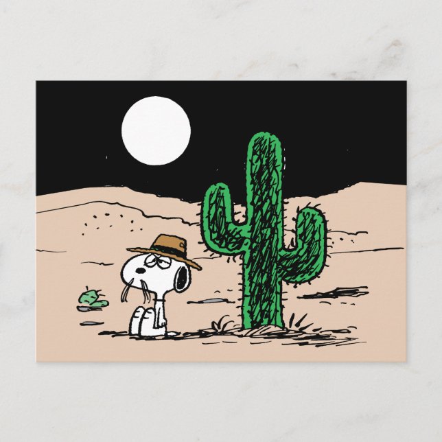 Postal Spike en el desierto de Moonlit (Anverso)
