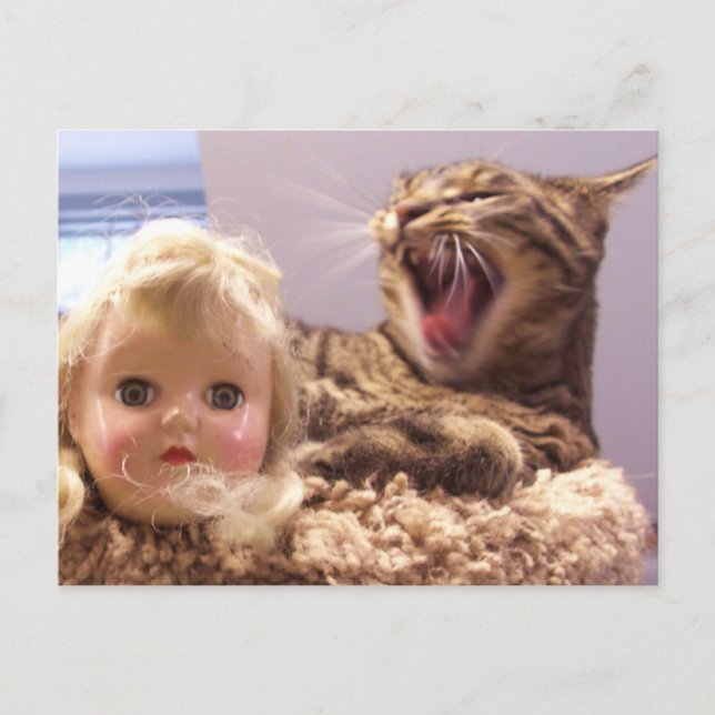 Postal Spike odia las muñecas (Anverso)