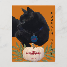 Postal Spina de calabaza Todo Buen Gato Negro Postcard