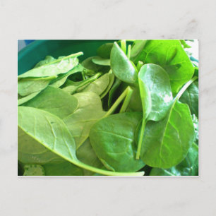 Postal Spinach