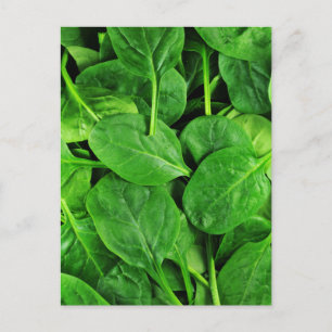 Postal Spinach
