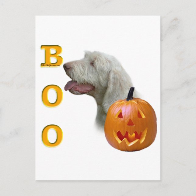 Postal Spinone Italiano Boo (Anverso)
