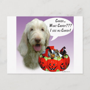 Postal Spinone Italiano Halloween Candy