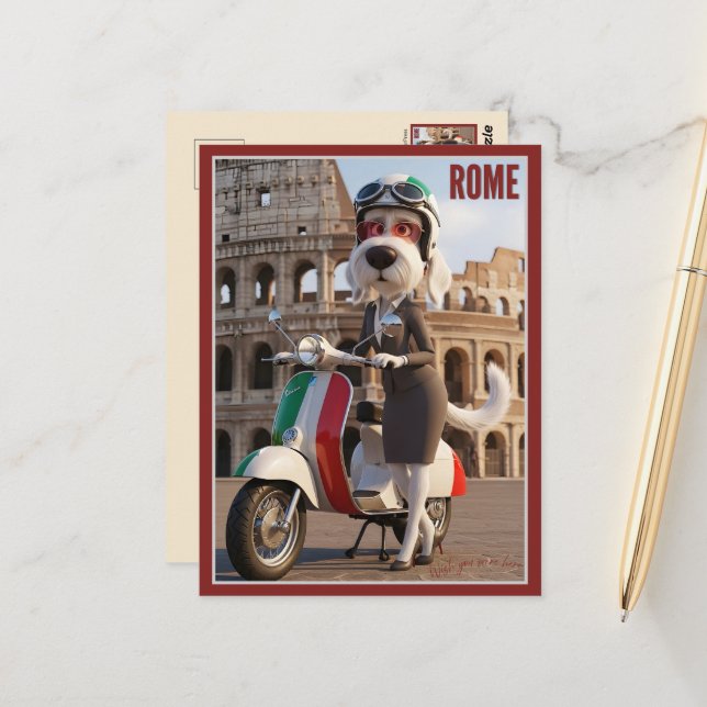 Postal Spinone Italiano Roma (Anverso/Reverso In Situ)