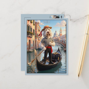 Postal Spinone Italiano Venecia