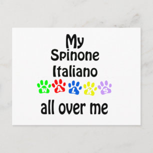 Postal Spinone Italiano Walks Design