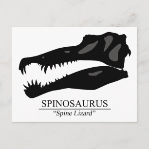 Postal Spinosaurus Skull