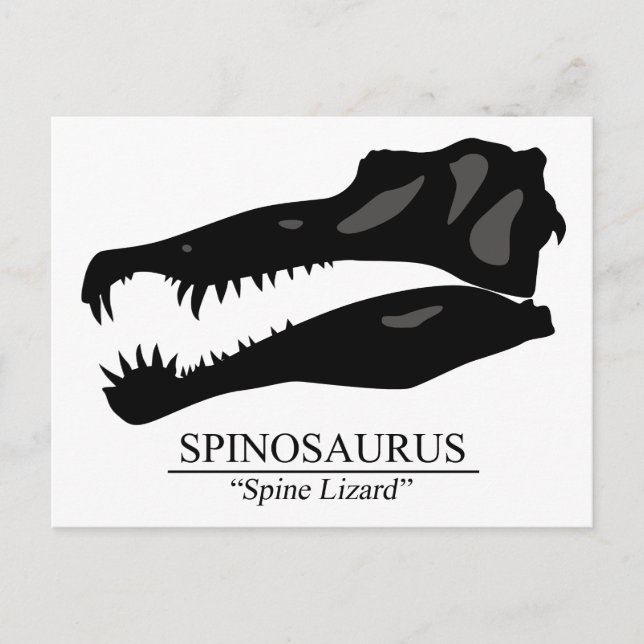 Postal Spinosaurus Skull (Anverso)