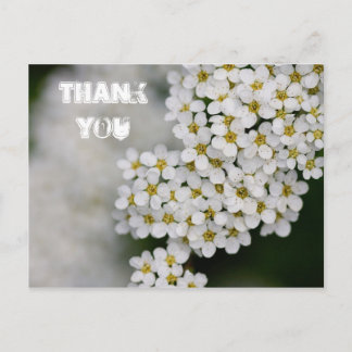 Postal Spiraea Gracias Postcard
