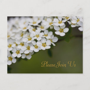 Postal Spiraea Por Favor, Únete A La Postcard