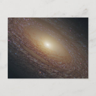 Postal Spiral Galaxy NGC 2841