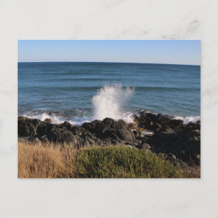 Postal ¡Splash!