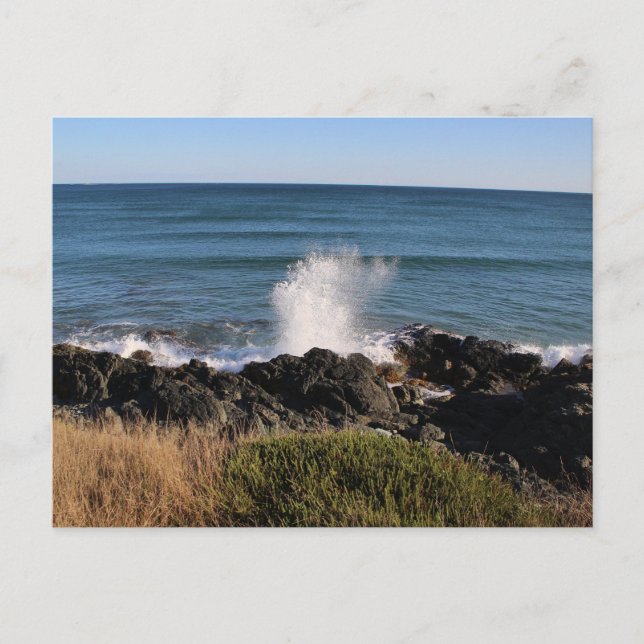 Postal Splash! (Anverso)