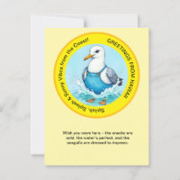Splish Splash divertido Seagull verano Hawaii salu
