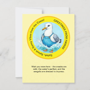 Postal Splish Splash divertido Seagull verano Hawaii salu