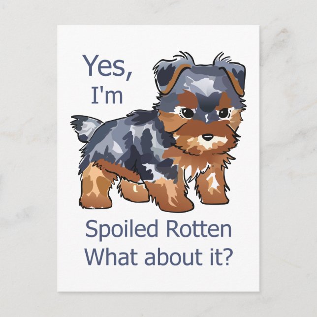 Postal Spoiled Rotten Yorkie (Anverso)