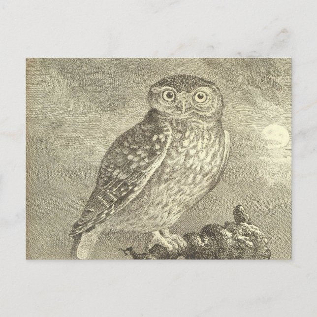 Postal Spooky Vintage Screech Owl Halloween (Anverso)