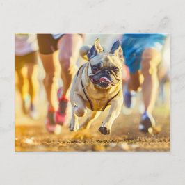 Postal Sporty Pug Running During Exercise