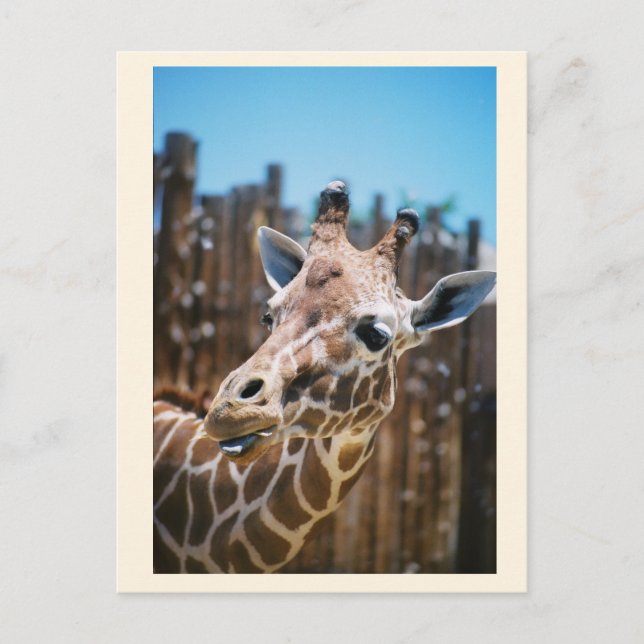 Postal Spot (Anverso)