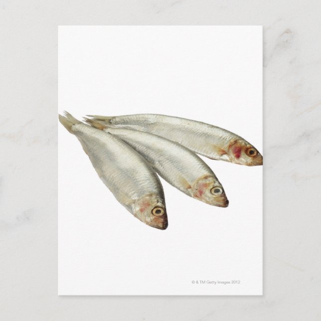 Postal Sprats (Anverso)