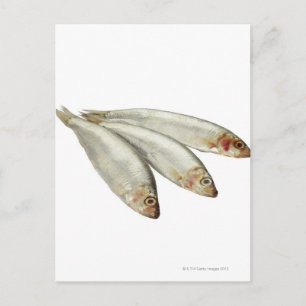 Postal Sprats
