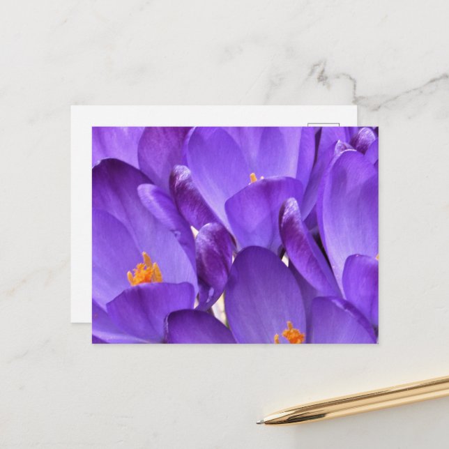 Postal Spring Crocus Photography (Anverso/Reverso In Situ)