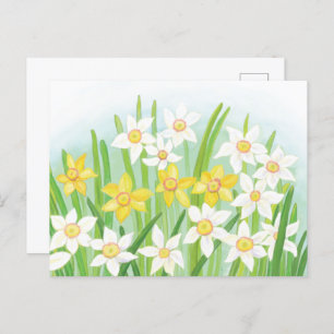 Postal Spring Daffodils