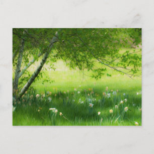 Postal Spring Daffodils